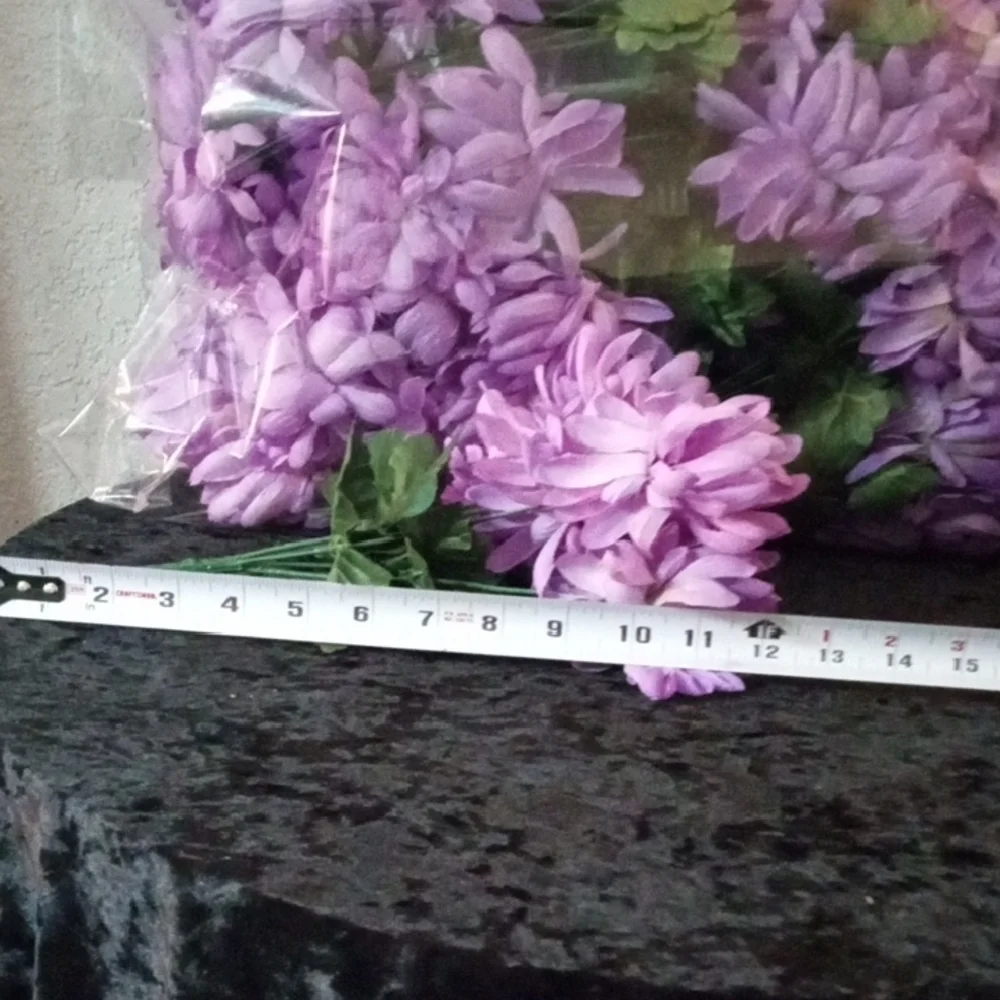 2 Dozen 12